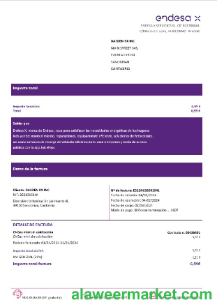 Spain Barcelona Endesa X electricity business utility bill Word and PDF formats